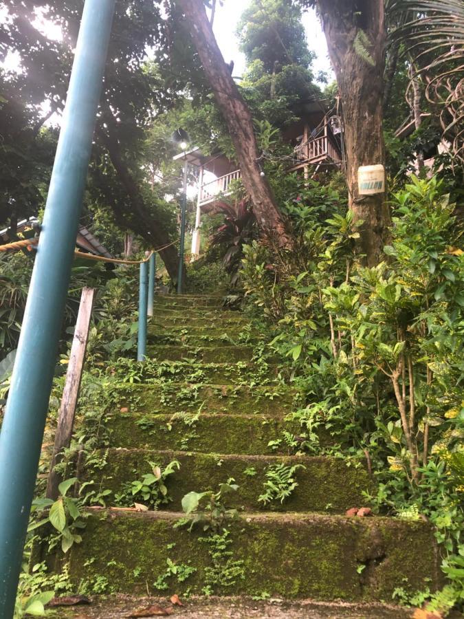 Balecabugaocottagesrental 爱妮岛 外观 照片