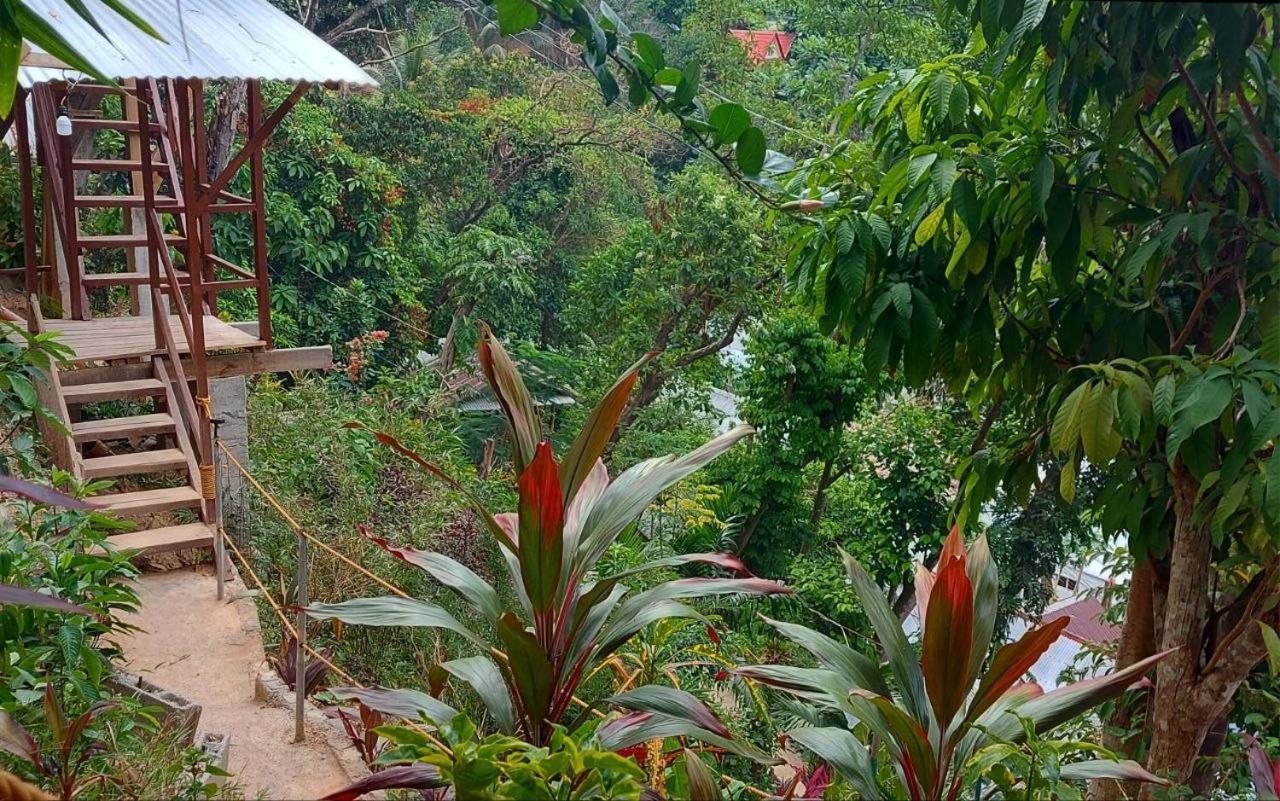 Balecabugaocottagesrental 爱妮岛 外观 照片
